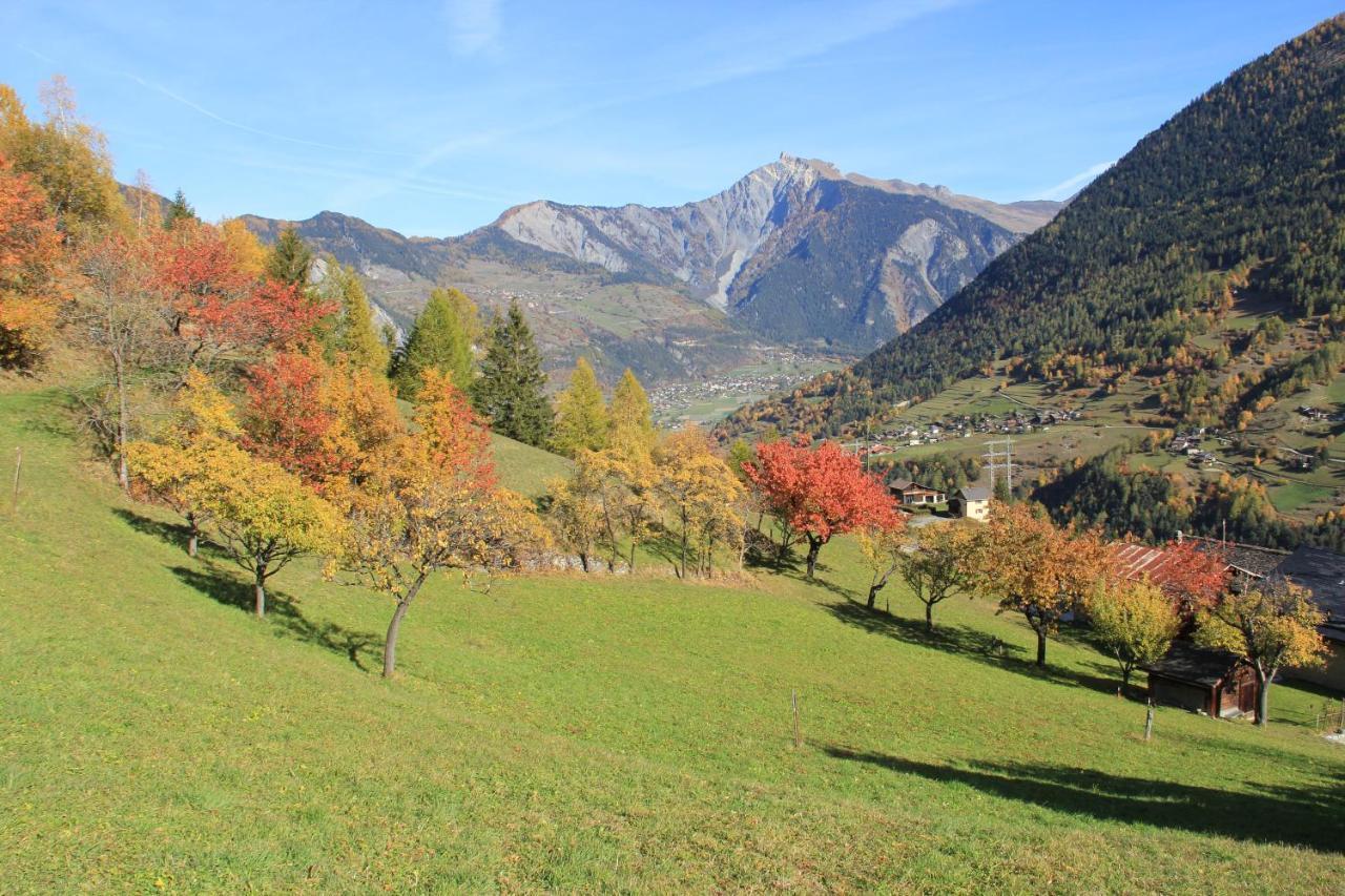 La Grange De Soulalex Chalet *