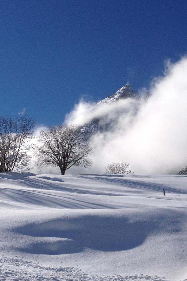 La Grange De Soulalex Chalet *
